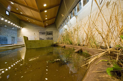 Μουσείο Περιβάλλοντος - Στυμφαλία Λίμνη